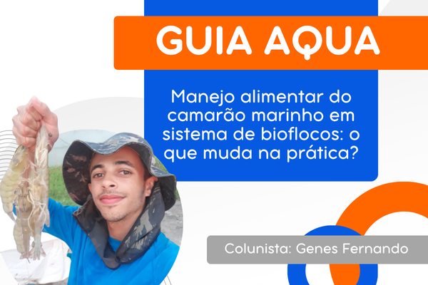Manejo alimentar do camarão marinho em sistema de bioflocos: o que muda na prática?