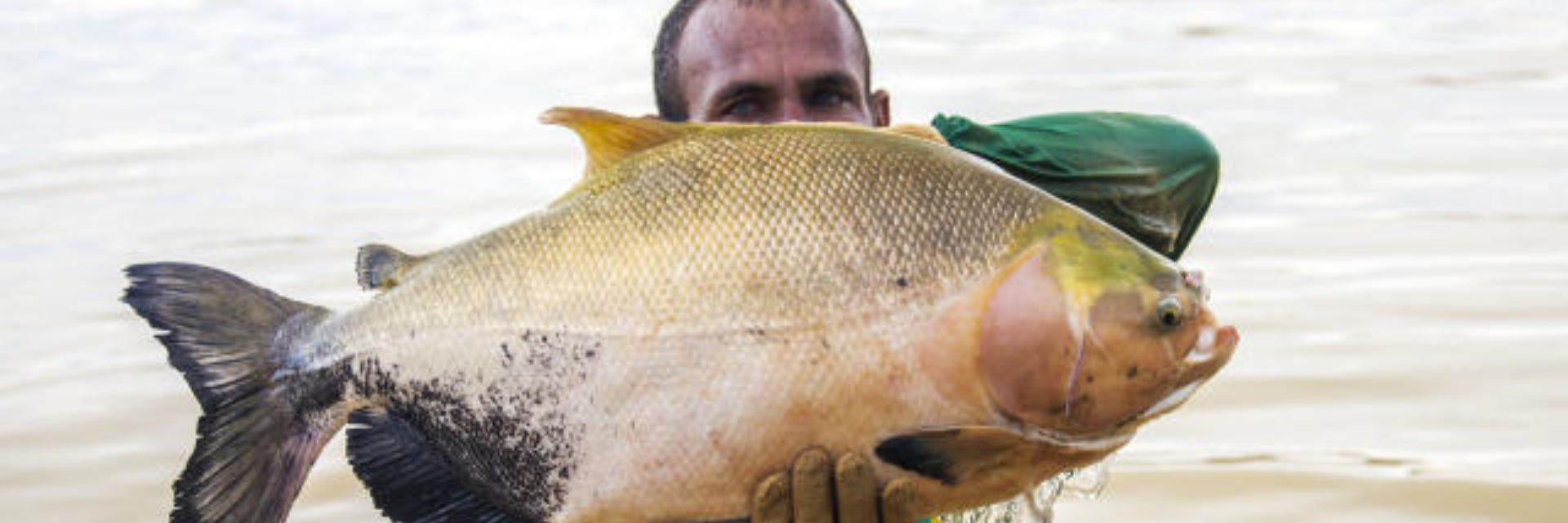 Embrapa e parceiros constroem rede de extensão e inovação em aquicultura